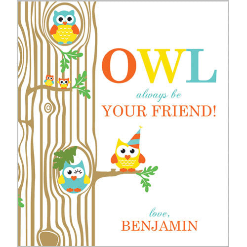 Colorful Boy Owl Valentines for Kids