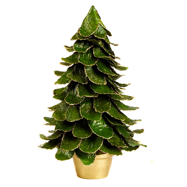 18 Potted Gold Edge Leaf Tree