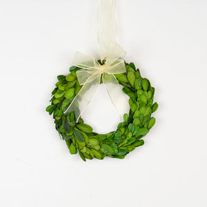 6" Preserved Boxwood Wreath