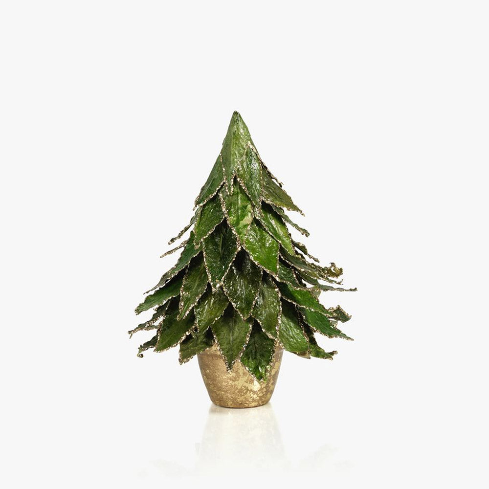 7" Potted Gold Edge Leaf Tree