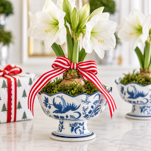 Blue and White Chinoiserie Footed Bowl