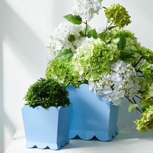 Blue Scalloped Cache Pots | Two Sizes Available