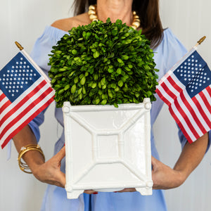 White Ceramic Bamboo Planter