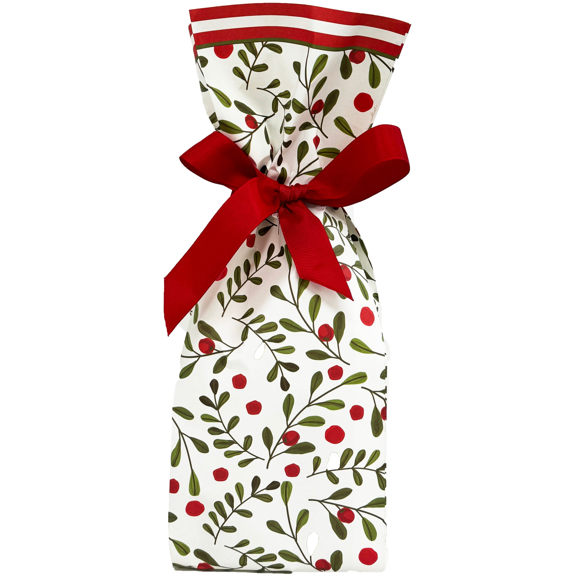 In Stock Paper Wine Bags | Mod Holly
