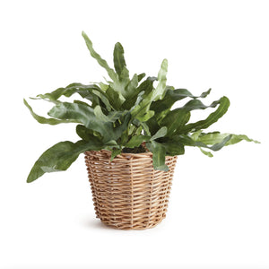 Rattan Cache Pot
