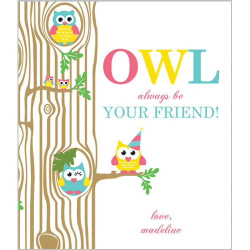 Colorful Girl Owl Valentines for Kids