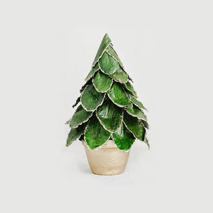 7" Potted Gold Edge Leaf Tree