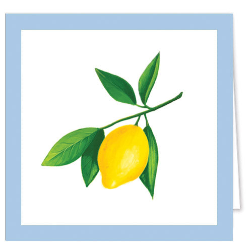 In Stock Gift Enclosure Cards + Envelopes | Lemon