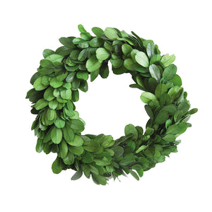 8" Mini Boxwood Wreath