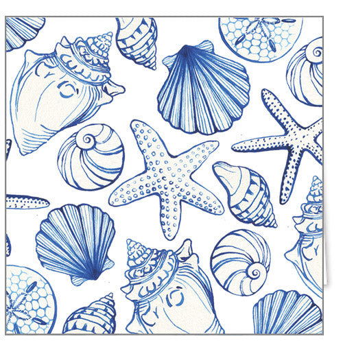 In Stock Gift Enclosure Cards + Envelopes | Sea Shell Pattern